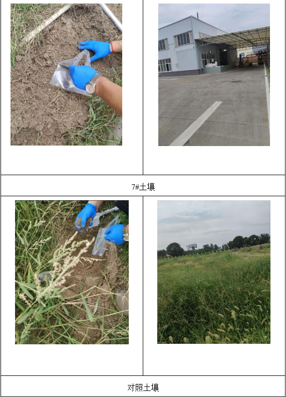 &#24320;&#20113;&#23448;&#26041;&#31471;&#32593;&#31449;&#30331;&#24405;&#20837;&#21475;&#45;&#24320;&#20113;&#40;&#20013;&#22269;&#41;